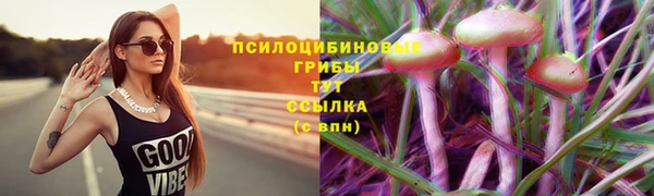 герыч Горняк