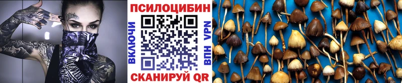 Галлюциногенные грибы мицелий  где купить наркоту  Рубцовск 