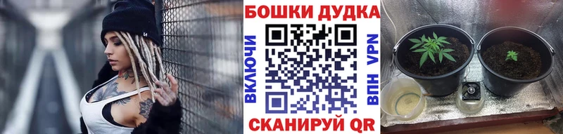 МЕГА ссылки мориарти какой сайт Марихуана конопля Рубцовск
